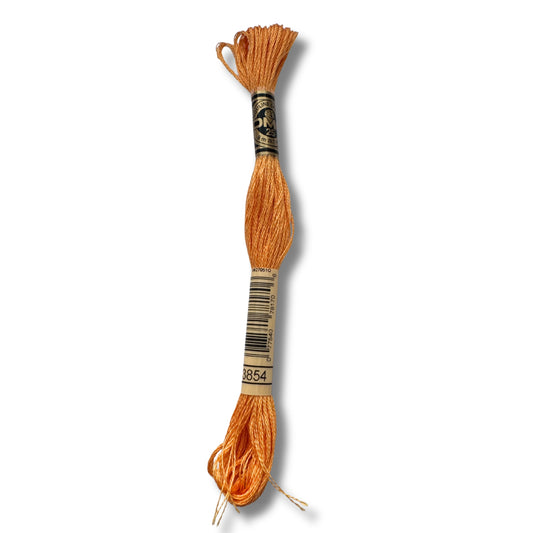DMC Stickgarn 3854