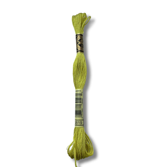 DMC Stickgarn 3819